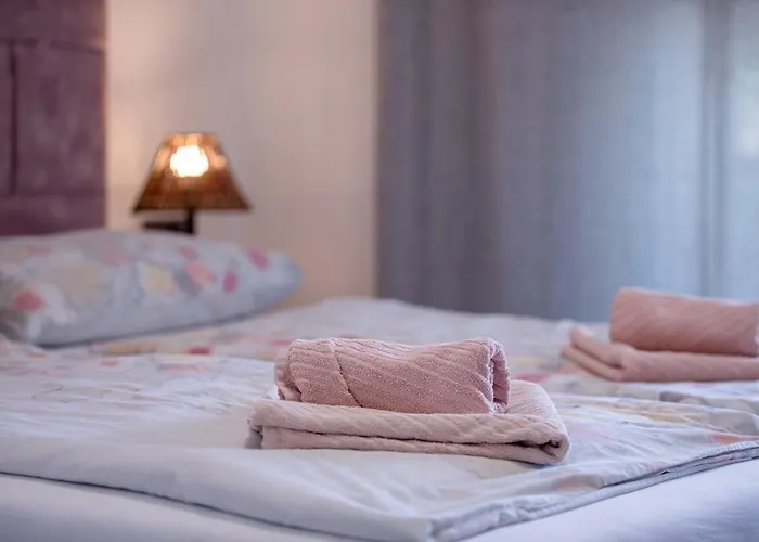 Mlacovic Pensión Palit