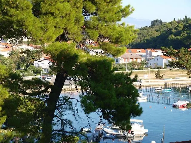 Mlacovic Πανσιόν Palit